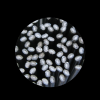 Flux coated welding rod