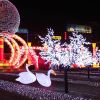 Products led swan 3D sculpture light theme park decoration