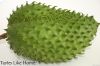 Soursop Fruit