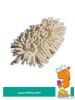 Household Cleaning mops