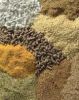 Animal Feed, Chicken Feed | Meat & Bone | Fish Meal | Soybeans Meal | Corn Gluten Meal | Corn Meal 50% Protein