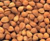 Best Organic Apricot Kernels and Almonds