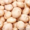 Fresh Potato (Fresh Vegetables)