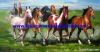 painting of horses-chn...