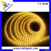 2011 hot sell SMD 5050 double rows flexible led strip