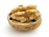 walnut,walnut in shell,walnut krenal