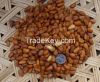 pine nuts,east china pine nuts,nature pine nuts