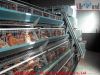 Chicken layer battery cage