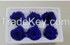 wholesale preserved rose flower with glass over