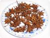 Star Aniseed