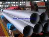 Seamless Stainless Steel Pipe/Tube