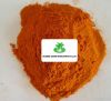 Sweet Paprika Powder