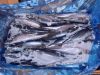 Frozen mackerel