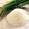 RICE SUPPLIER| PARBOIL...