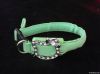 LED pet collar