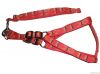 Pet harness and lead