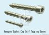 stainless steel self-tapping screw/ self-drilling screw/ wood screw