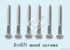 stainless steel self-tapping screw/ self-drilling screw/ wood screw