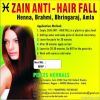 Anti-Hair Fall - Henna...