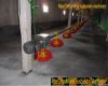 poultry pan automatic auger feeding system