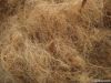 Coconut Fiber