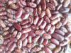 White kidney beans 