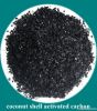 Coconut Shell Activated Carbon