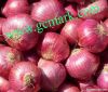 Fresh red onion