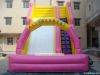 most popular inflatabl...