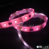 smd 5060 waterproof flexible led strip rgb