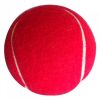 Cricket Tennis Ball