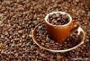 export Arabica Coffee ...