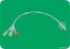Foley Catheter