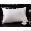 100% Cotton Pillow wit...