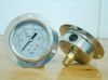 CNG Pressure Gauge