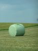 silage wrap ( Green co...