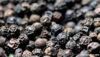 Black pepper