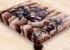 Polyester Fleece Mink Blanket