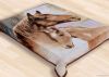 Polyester Fleece Mink Blanket