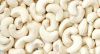 High Quality Raw Cashew Nuts