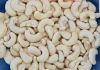 High Quality Raw Cashew Nuts