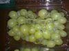 Fresh Grapes ( Superior -Flame -Crimson-Thompson -Red Globe ...)