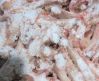 Chicken Feet