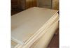 Commercial Plywood