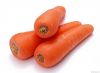 Beta Carotene