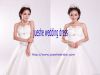 Princess/Ball Gown Strapless Stain Floor Length Wedding Dress c-02