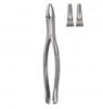 Extracting Forceps Ame...