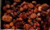 Dried Ox-Gallstone