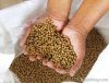 floating fish feed pellet making machine(0086-15838061570)
