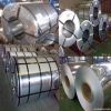 Galvanzied steel coil/GI